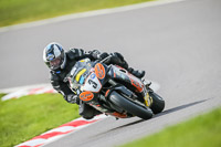 Oulton-Park-21st-March-2020;PJ-Motorsport-Photography-2020;anglesey;brands-hatch;cadwell-park;croft;donington-park;enduro-digital-images;event-digital-images;eventdigitalimages;mallory;no-limits;oulton-park;peter-wileman-photography;racing-digital-images;silverstone;snetterton;trackday-digital-images;trackday-photos;vmcc-banbury-run;welsh-2-day-enduro